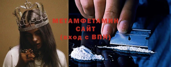 шишки Медвежьегорск