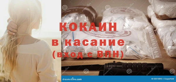 шишки Медвежьегорск