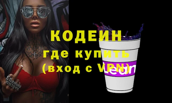 шишки Медвежьегорск
