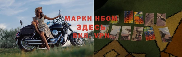 шишки Медвежьегорск