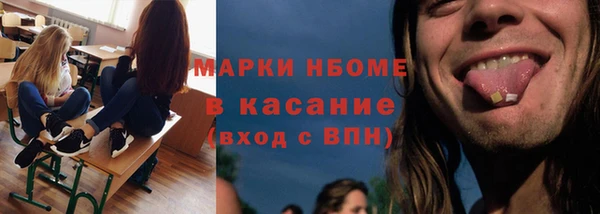 шишки Медвежьегорск