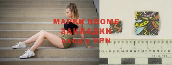 шишки Медвежьегорск