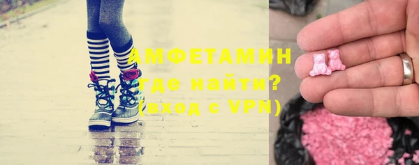 шишки Медвежьегорск