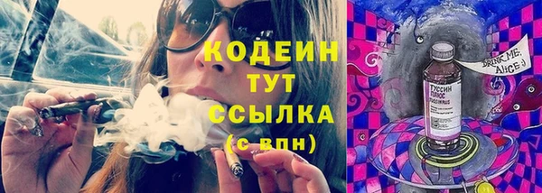 шишки Медвежьегорск