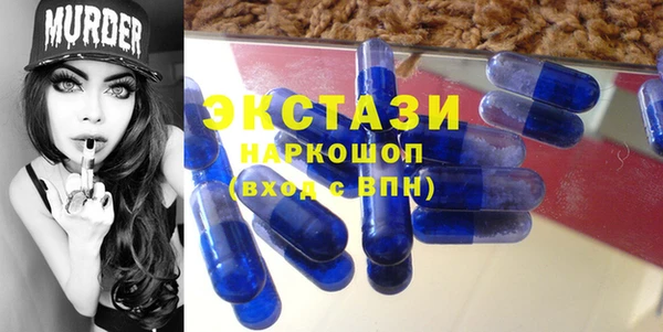 шишки Медвежьегорск
