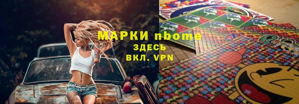 шишки Медвежьегорск