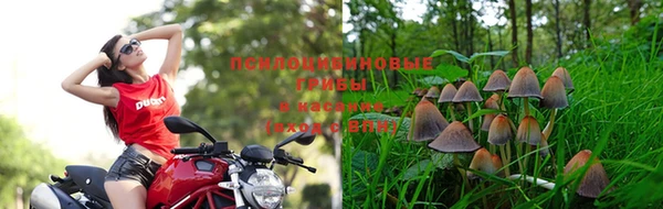 экстази Мегион