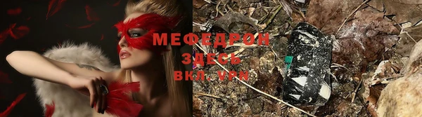 шишки Медвежьегорск