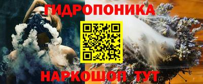 индика Гусиноозёрск