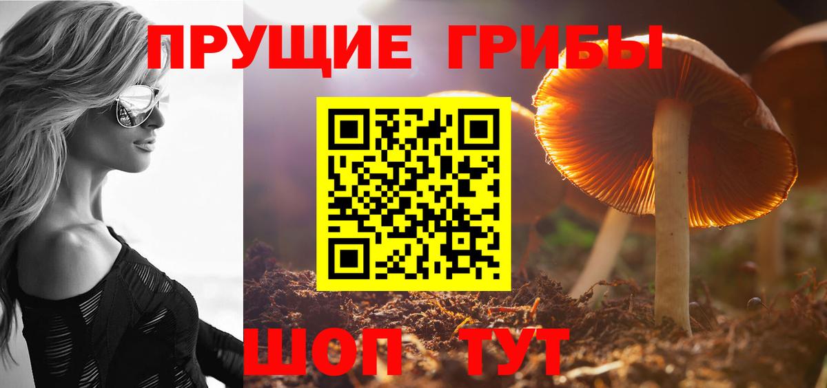 Мелеуз  Галлюциногенные грибы ЛСД  купить   Галлюциногенные грибы Magic Shrooms  Вход с VPN 